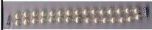White Shell Pearl Double Strand 7.5 inch bracelet
